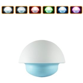 Éjjeli fény - Gomba 